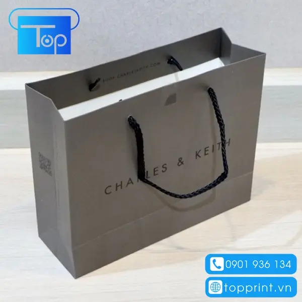 Tui-giay-charles-keith-7