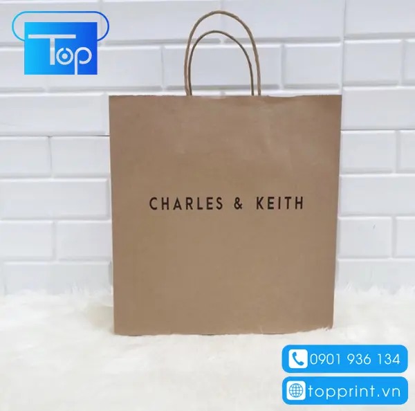 Tui-giay-charles-keith-8