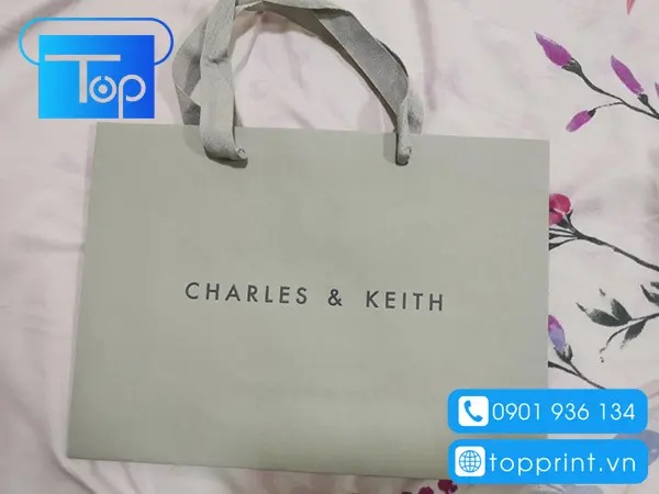 Tui-giay-charles-keith-9