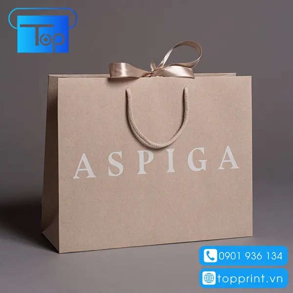 Địa chỉ thiết kế và in túi giấy cao cấp giá rẻ tại TPHCM & Hà Nội