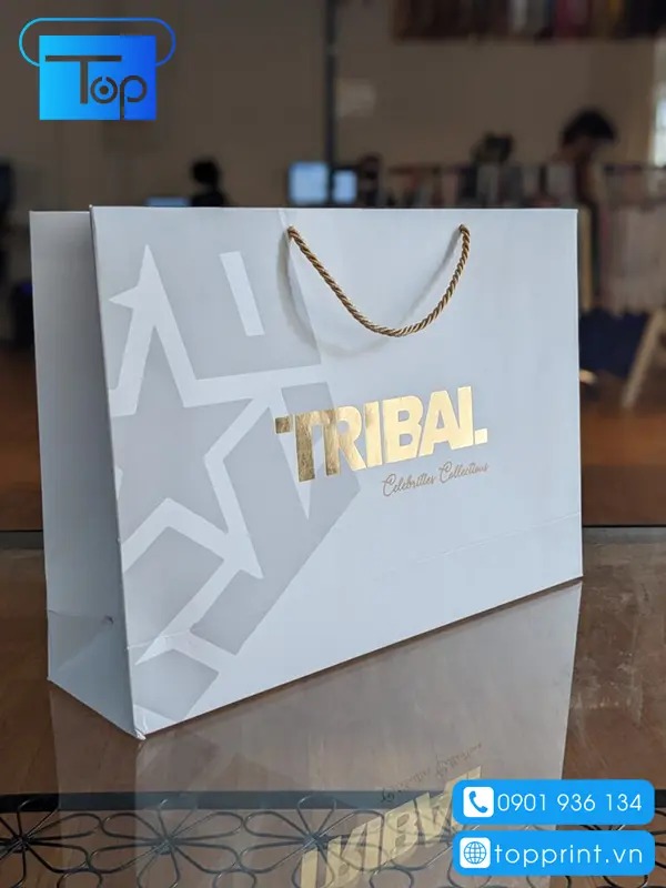 Mẫu túi giấy cao cấp đựng đồ dùng