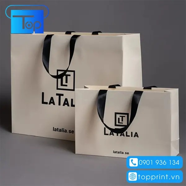 Mẫu túi giấy cao cấp đựng quần áo