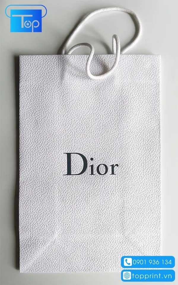 Tui-giay-dior-1