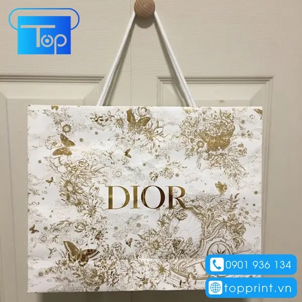 Tui-giay-dior-10