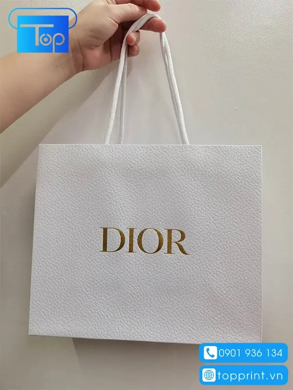 Tui-giay-dior-2
