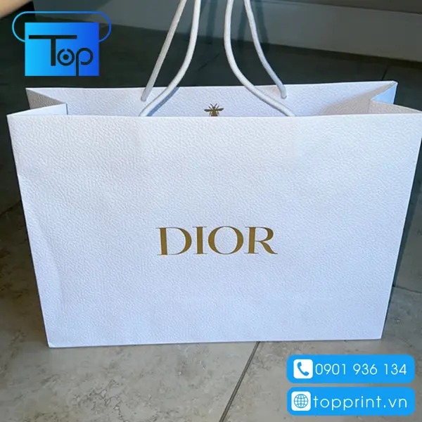 Tui-giay-dior-4