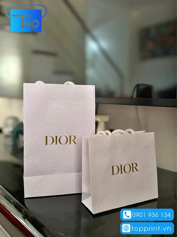 Tui-giay-dior-5