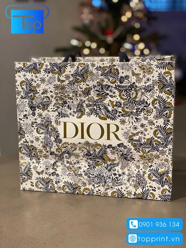 Tui-giay-dior-8