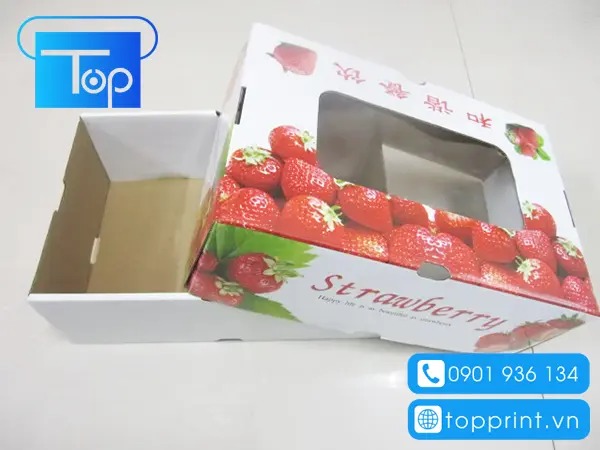 Hop-giay-dung-dau-tay-6