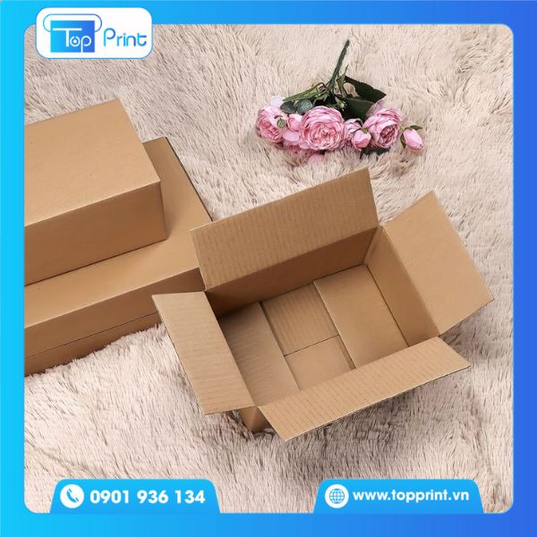 Thùng carton tại thành phố Hồ Chí Minh
