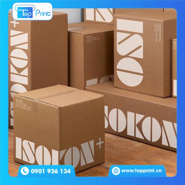 Hộp giấy carton in ấn