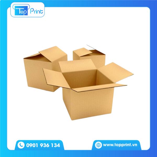 Thùng carton chuyển nhà tại TP HCM