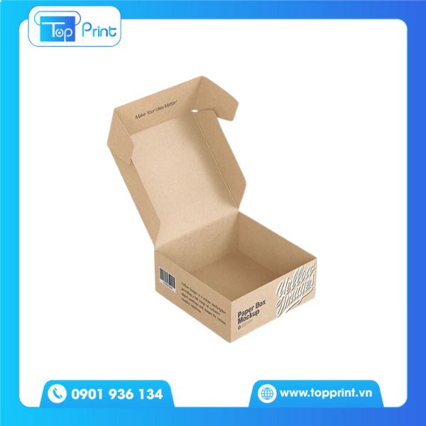 Hộp giấy carton thiết kế bắt mắt