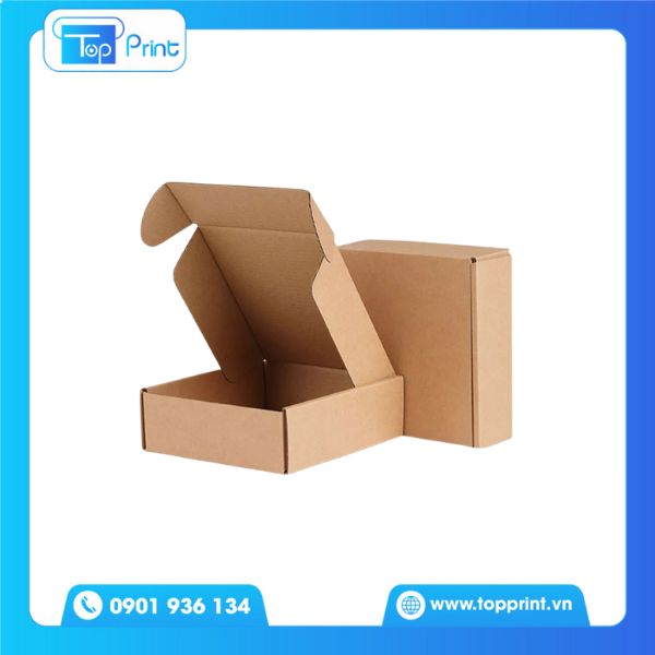 Hộp giấy carton nắp gài