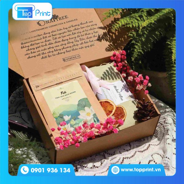hộp giấy nắp gài đựng dược phẩm