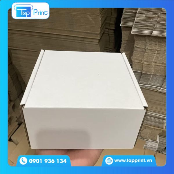 Hộp giấy trắng nắp gài