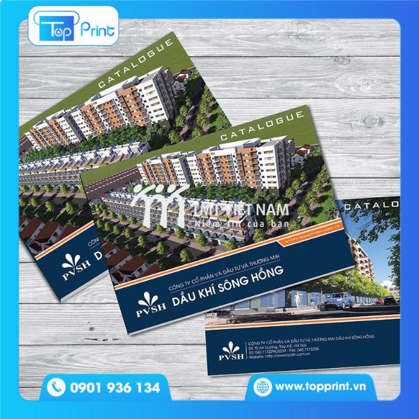 catalogue x&acirc;y dựng chung cư cao cấp