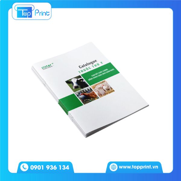 Catalogue ngành y tế thú y