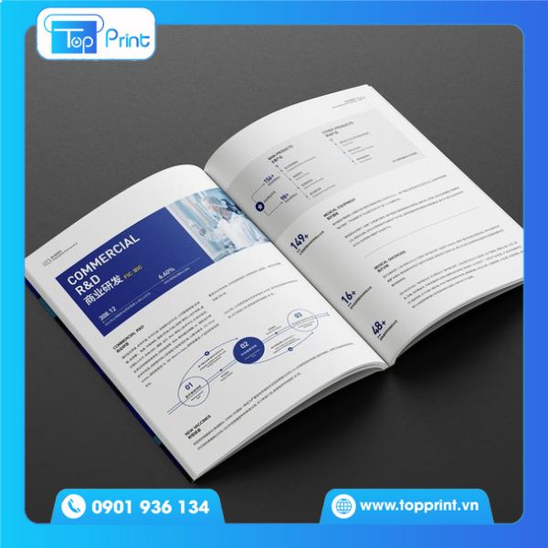 Catalogue quảng bá dịch vụ y tế