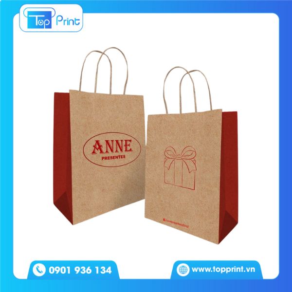 Mẫu Túi Giấy Kraft Nâu Thương Hiệu ANNE