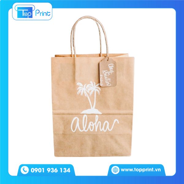 Mẫu Túi Giấy Kraft Nâu Đi Biển Đẹp Mắt