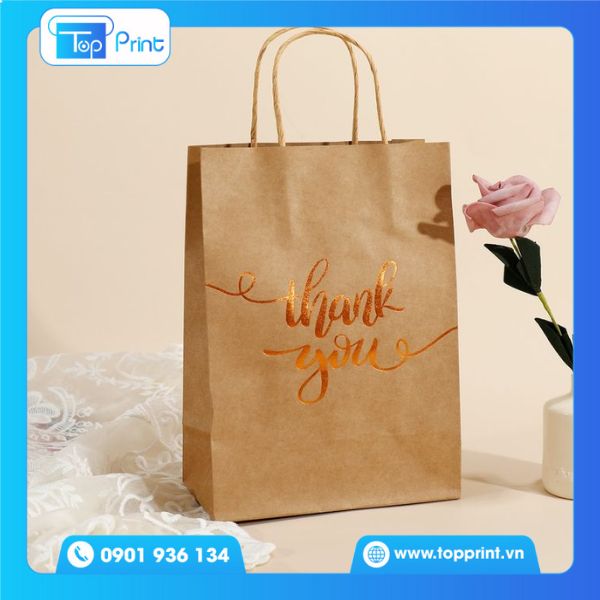Túi giấy kraft nâu có sẵn