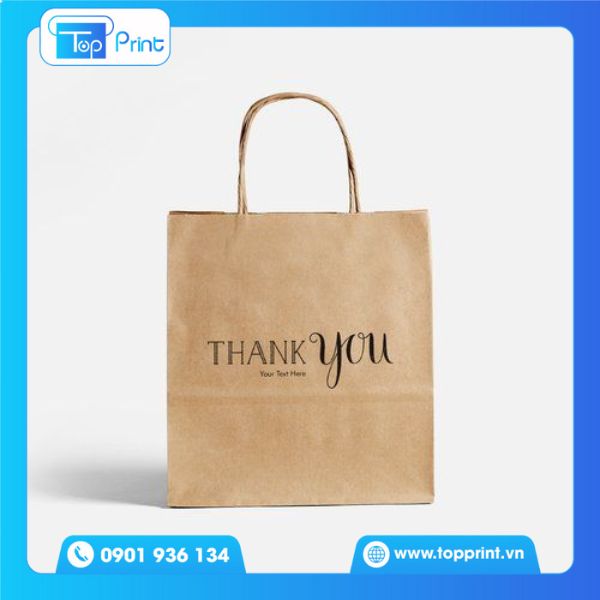 Mẫu túi giấy kraft nâu
