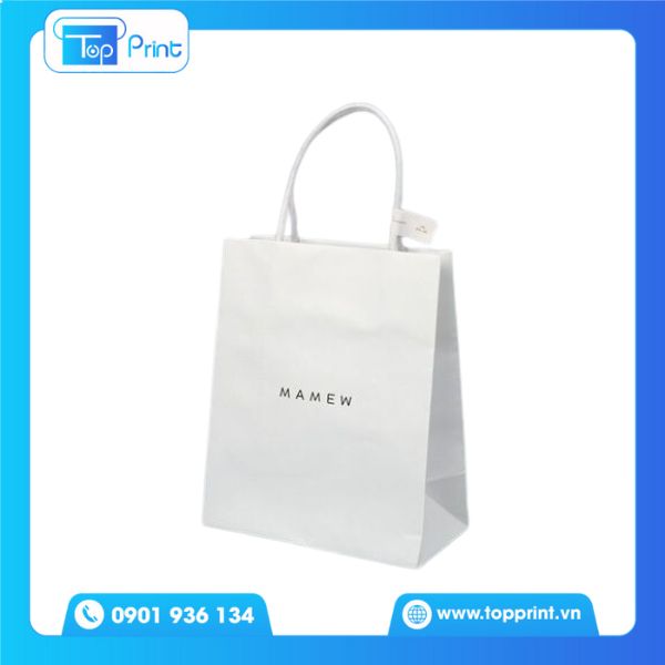 Túi giấy Kraft trắng thời trang