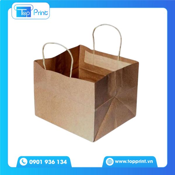 Mẫu túi giấy vuông kraft