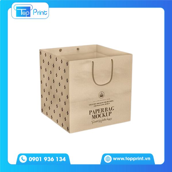 Mẫu túi giấy vuông in ấn