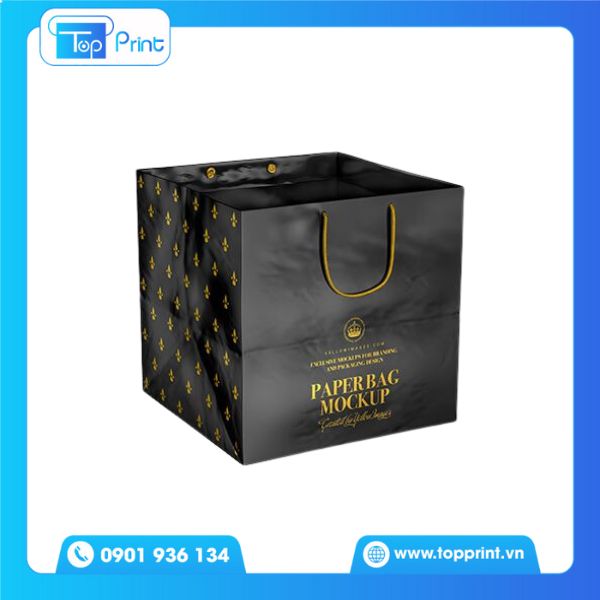 Mẫu túi giấy vuông thời trang