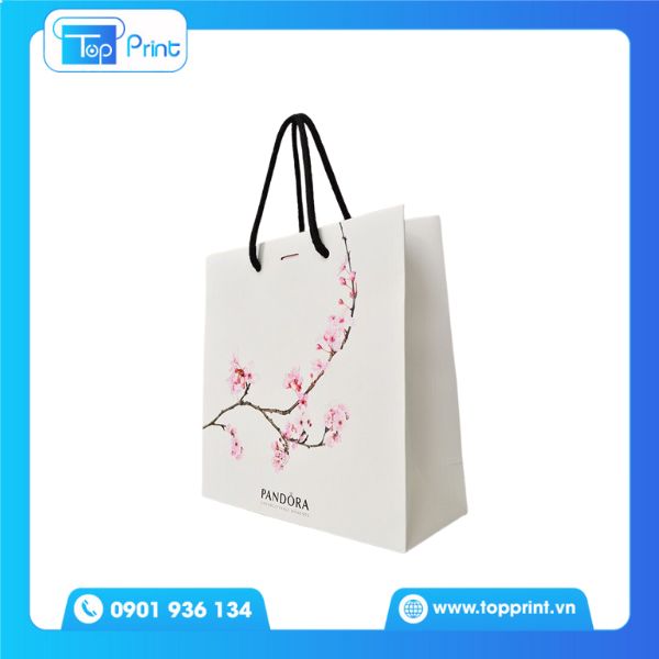 Túi giấy bìa cứng đựng trang sức