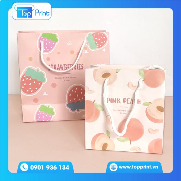 Thiết Kế Túi Giấy Cute Phong Cách Nhật Bản