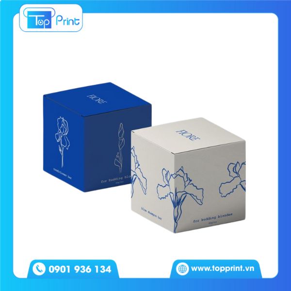 Ấn Phẩm Hộp Giấy