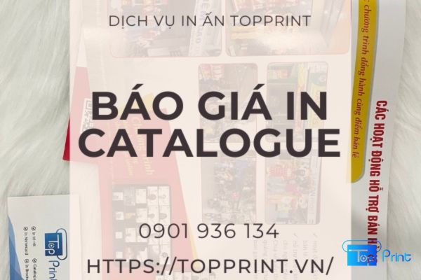Báo Giá In Catalogue A4 A5 Giá Rẻ Tại TPHCM Và Hà Nội 