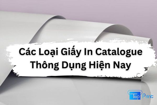 Các Loại Giấy In Catalogue Thông Dụng Hiện Nay