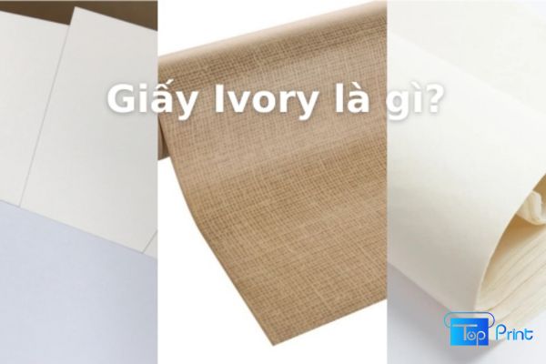 Giấy Ivory là gì? Phân loại giấy ivory theo định lượng giấy