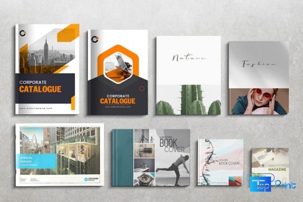In Catalogue Bình Dương