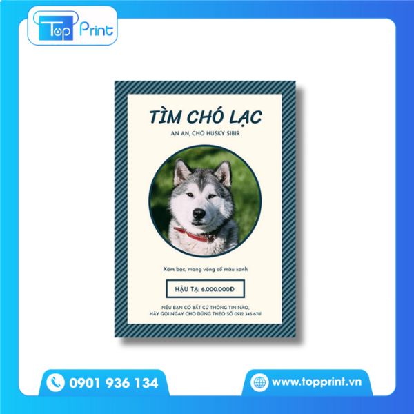 Tờ Rơi Tìm Chó Lạc