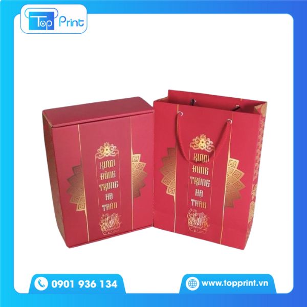 Túi Giấy Đông Trùng Hạ Thảo 