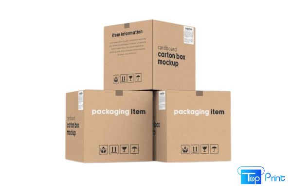 Xưởng In Thùng Carton Giá Rẻ TpHCM