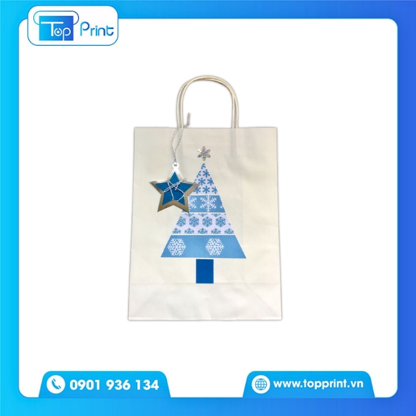 Túi Giấy Noel Xinh Xắn Cho Món Quà Ý Nghĩa