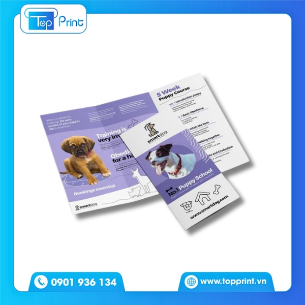 Mẫu Tờ Rơi Pet Shop Gấp 3 Sáng Tạo