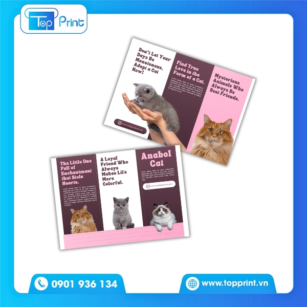 Mẫu Tờ Rơi Pet Shop Gấp 3 Giá Rẻ