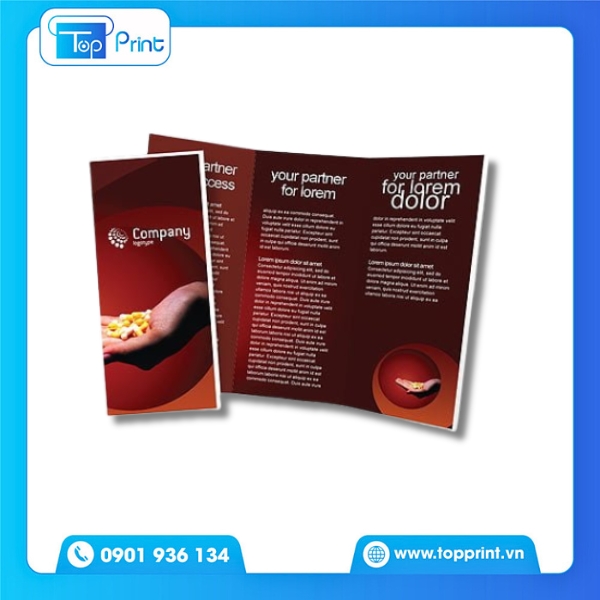 Brochure Thuốc Với Thiết Kế Tinh Tế và Hiện Đại