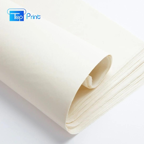 Giấy Ivory in hộp giấy màu sắc lên đẹp