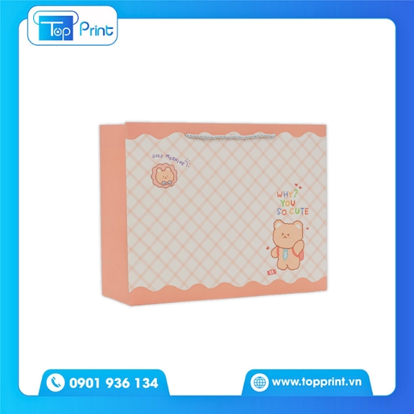 Túi Giấy Caro Cho Shop Quà Handmade