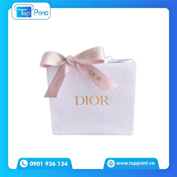 Túi Giấy Có Nơ Thương Hiệu Dior