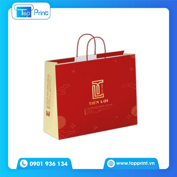 Mẫu Túi Giấy Thương Hiệu Tiến Lợi