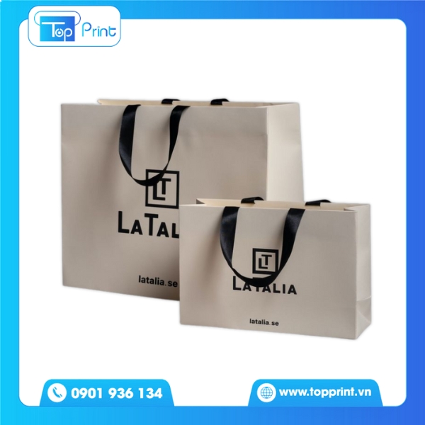 Túi Giấy Quai Lụa Đen Đơn Giản Nhưng Sang Trọng